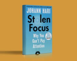 Livro Stolen Focus