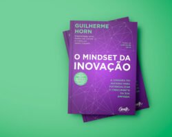 O Mindset da Inovação